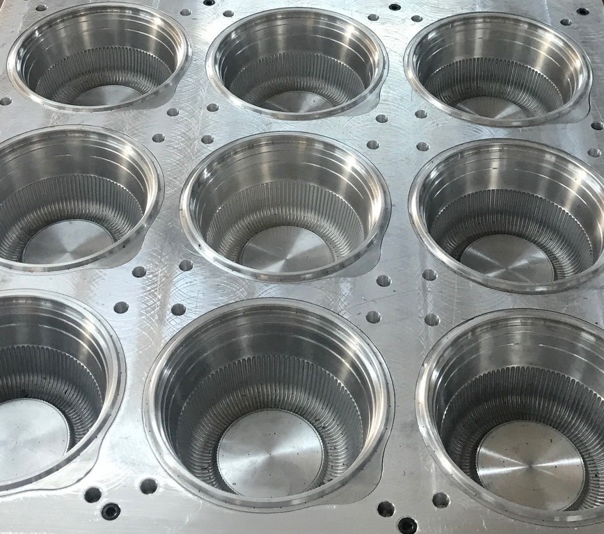 Dupatech mould